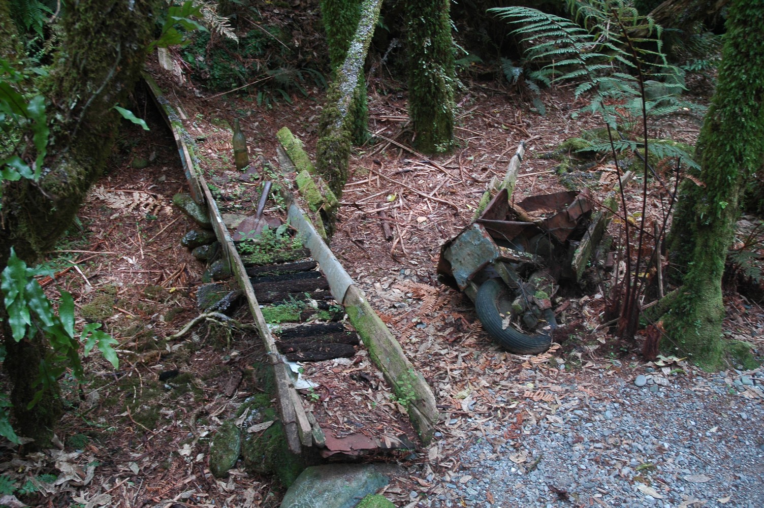 090   24 01   Greymouth   Fox Glacier
